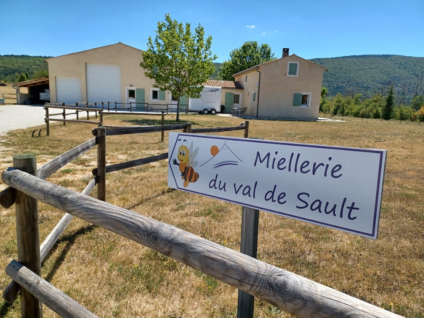 Miel de lavande - Miellerie du Val de Sault - Brigitte et Bernard Voisin — photo 5